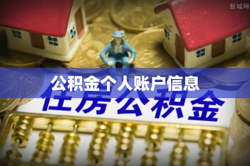 安阳公积金个人账户信息