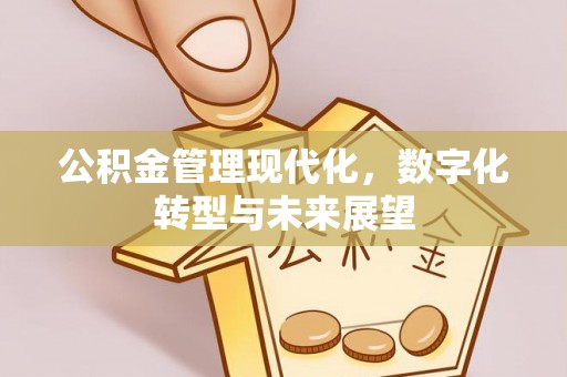 安阳公积金管理现代化，数字化转型与未来展望