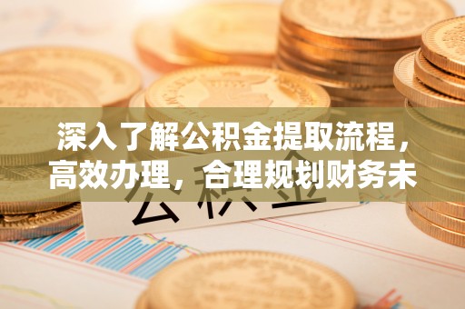 安阳深入了解公积金提取流程，高效办理，合理规划财务未来