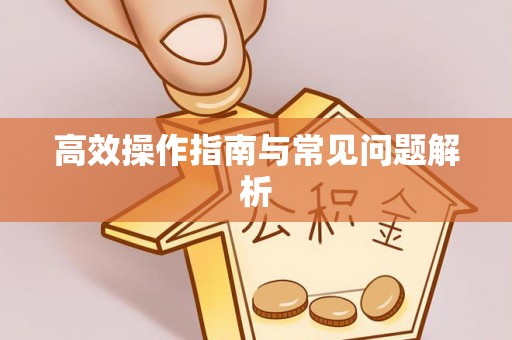 安阳高效操作指南与常见问题解析