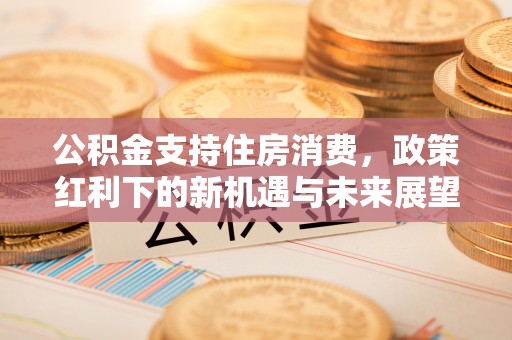 安阳公积金支持住房消费，政策红利下的新机遇与未来展望