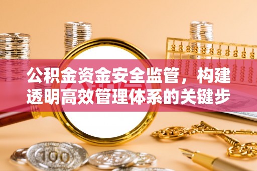 安阳公积金资金安全监管，构建透明高效管理体系的关键步骤