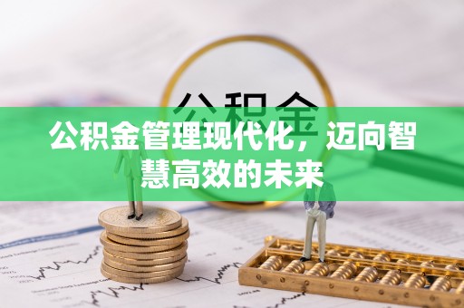 安阳公积金管理现代化，迈向智慧高效的未来