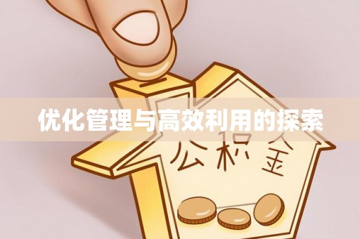 安阳优化管理与高效利用的探索