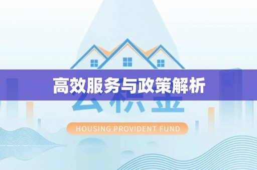 安阳高效服务与政策解析