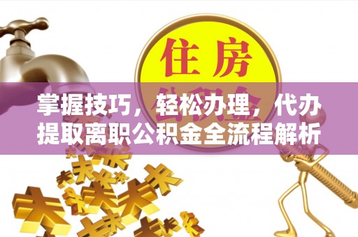 安阳掌握技巧，轻松办理，代办提取离职公积金全流程解析