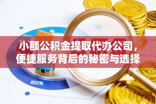 安阳小额公积金提取代办公司，便捷服务背后的秘密与选择指南
