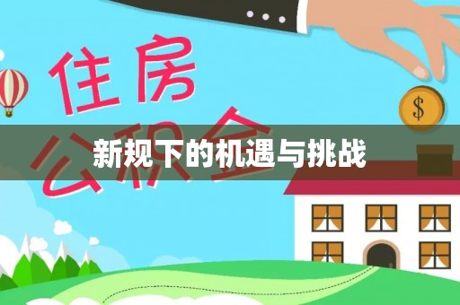 安阳新规下的机遇与挑战