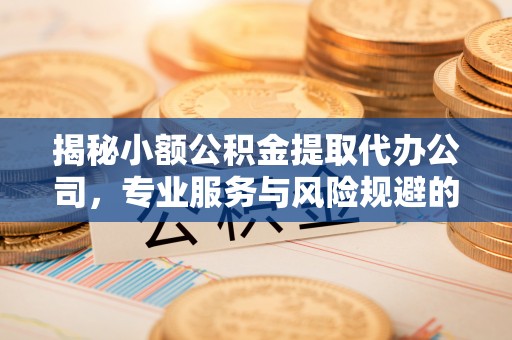 安阳揭秘小额公积金提取代办公司，专业服务与风险规避的平衡艺术