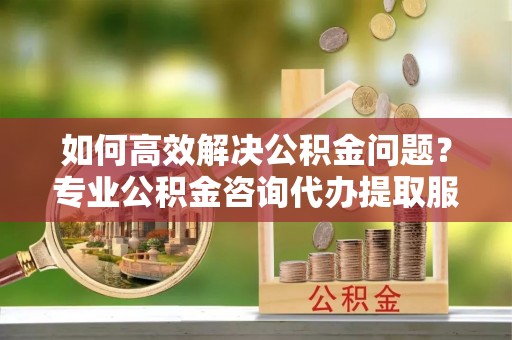 安阳如何高效解决公积金问题？专业公积金咨询代办提取服务来帮你