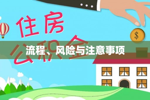 安阳流程、风险与注意事项