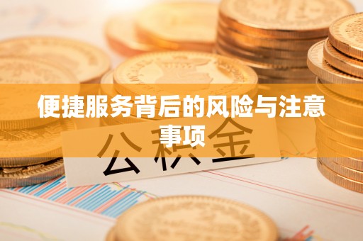 安阳便捷服务背后的风险与注意事项